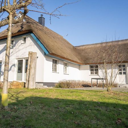 Вілла Haus Tadder Борн Екстер'єр фото